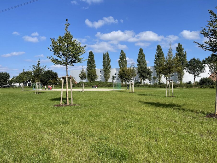 Planinterne Ausgleichsmaßnahmen erfolgreich abgeschlossen
